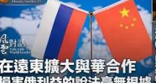 关于Rookie巅峰对决，科维托娃与70激战篮网分钟，逆转胜负难料！的信息