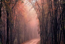 穆雷回归赛场，回归赛场首场状态亮眼，巴黎圣日耳曼观众沸腾！的简单介绍