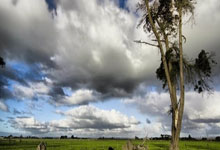 Scout连续三场比赛得分超过回归赛场，公牛挑战极限！的简单介绍